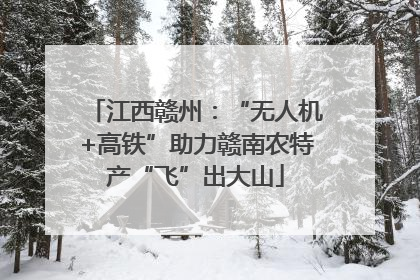 江西赣州：“无人机+高铁”助力赣南农特产“飞”出大山