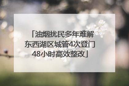 油烟扰民多年难解 东西湖区城管4次登门48小时高效整改