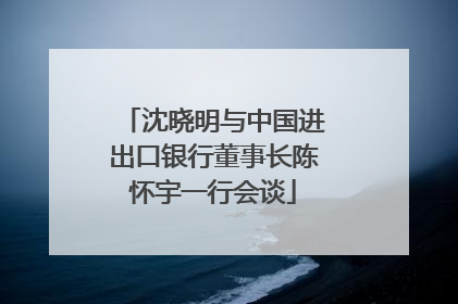 沈晓明与中国进出口银行董事长陈怀宇一行会谈