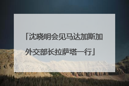 沈晓明会见马达加斯加外交部长拉萨塔一行