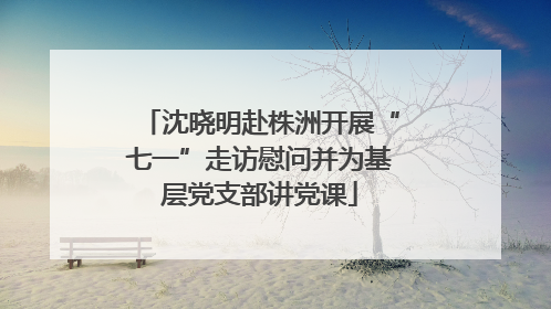 沈晓明赴株洲开展“七一”走访慰问并为基层党支部讲党课