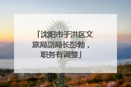 沈阳市于洪区文旅局副局长彭勃，职务有调整
