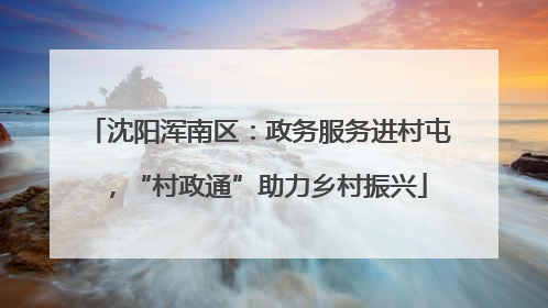 沈阳浑南区：政务服务进村屯，“村政通”助力乡村振兴