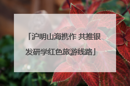 沪明山海携作 共推银发研学红色旅游线路