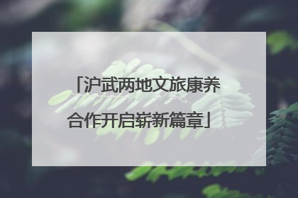 沪武两地文旅康养合作开启崭新篇章