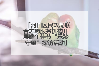 河口区民政局联合志愿服务机构开展端午佳节“乐龄守望”探访活动