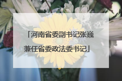 河南省委副书记张巍兼任省委政法委书记