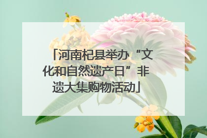 河南杞县举办“文化和自然遗产日”非遗大集购物活动