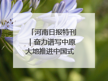河南日报特刊｜奋力谱写中原大地推进中国式现代化新篇章