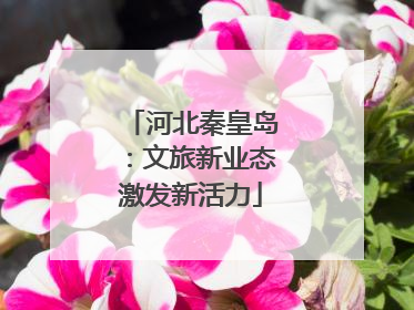 河北秦皇岛：文旅新业态激发新活力