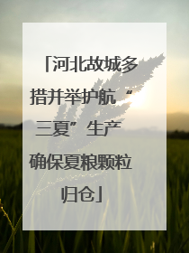 河北故城多措并举护航“三夏”生产 确保夏粮颗粒归仓
