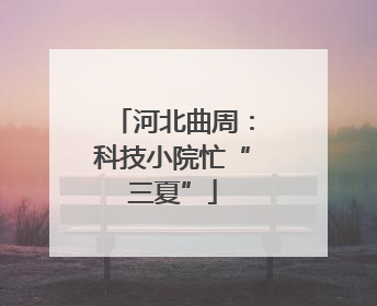 河北曲周：科技小院忙“三夏”