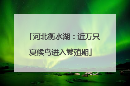 河北衡水湖：近万只夏候鸟进入繁殖期