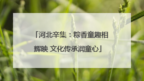 河北辛集：粽香童趣相辉映 文化传承润童心