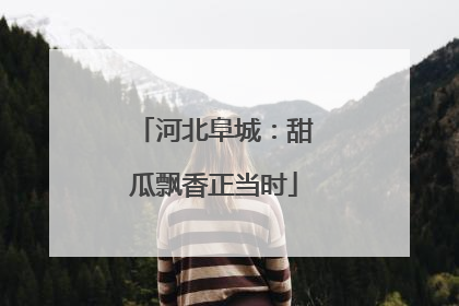 河北阜城：甜瓜飘香正当时