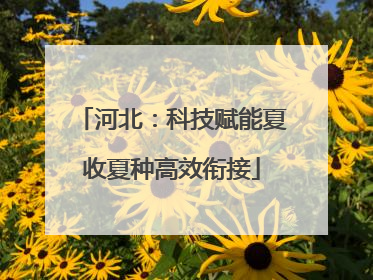 河北：科技赋能夏收夏种高效衔接