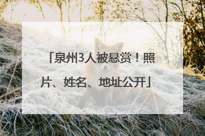 泉州3人被悬赏！照片、姓名、地址公开