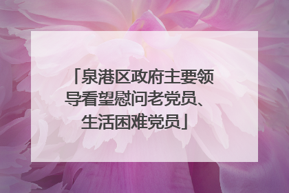 泉港区政府主要领导看望慰问老党员、生活困难党员
