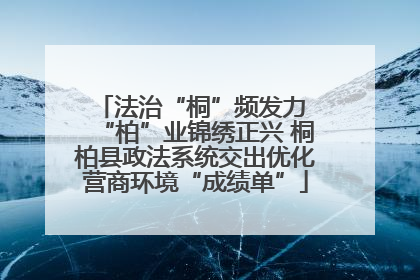 法治“桐”频发力 “柏”业锦绣正兴 桐柏县政法系统交出优化营商环境“成绩单”