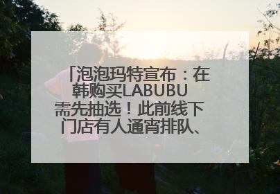 泡泡玛特宣布：在韩购买LABUBU需先抽选！此前线下门店有人通宵排队、吵架动手