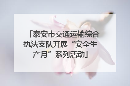泰安市交通运输综合执法支队开展“安全生产月”系列活动