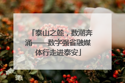 泰山之麓，数潮奔涌——数字强省融媒体行走进泰安