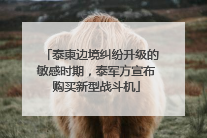 泰柬边境纠纷升级的敏感时期，泰军方宣布购买新型战斗机