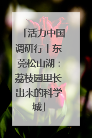 活力中国调研行丨东莞松山湖：荔枝园里长出来的科学城