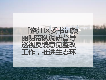 洛江区委书记颜丽明带队调研督导巡视反馈意见整改工作，推进生态环境保护建设