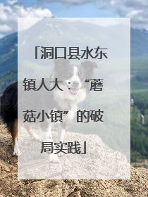 洞口县水东镇人大：“蘑菇小镇”的破局实践
