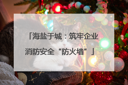 海盐于城：筑牢企业消防安全“防火墙”