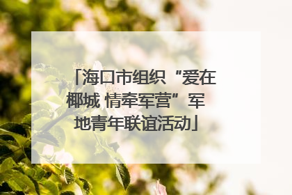 海口市组织“爱在椰城 情牵军营”军地青年联谊活动