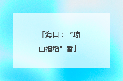 海口：“琼山福稻”香