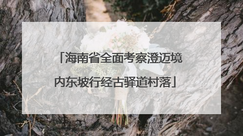 海南省全面考察澄迈境内东坡行经古驿道村落