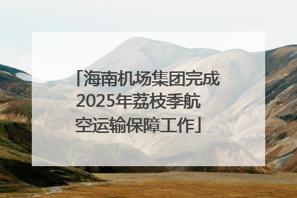 海南机场集团完成2025年荔枝季航空运输保障工作