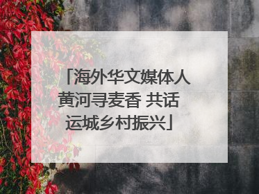 海外华文媒体人黄河寻麦香 共话运城乡村振兴