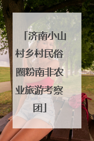 济南小山村乡村民俗圈粉南非农业旅游考察团