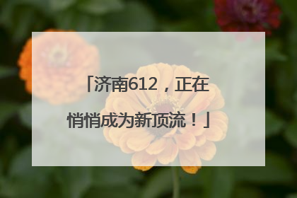 济南612，正在悄悄成为新顶流！