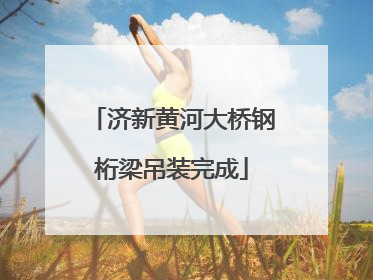 济新黄河大桥钢桁梁吊装完成