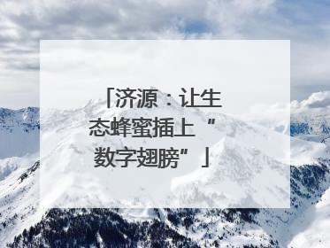 济源：让生态蜂蜜插上“数字翅膀”