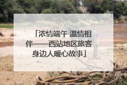 浓情端午 温情相伴——西站地区旅客身边人暖心故事