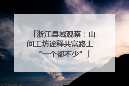 浙江县域观察：山间工坊诠释共富路上“一个都不少”