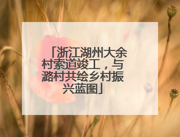 浙江湖州大余村索道竣工，与潞村共绘乡村振兴蓝图