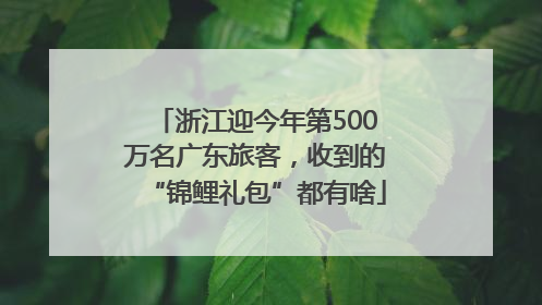 浙江迎今年第500万名广东旅客，收到的“锦鲤礼包”都有啥