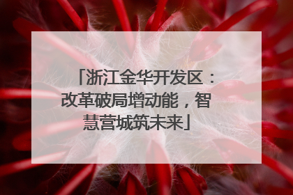 浙江金华开发区：改革破局增动能，智慧营城筑未来