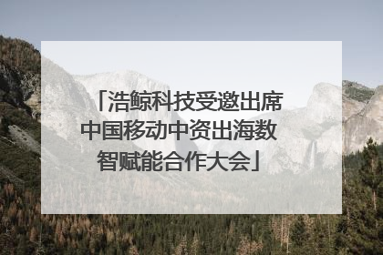 浩鲸科技受邀出席中国移动中资出海数智赋能合作大会