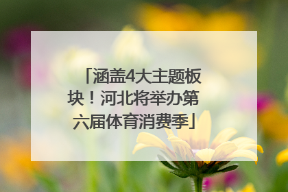 涵盖4大主题板块！河北将举办第六届体育消费季