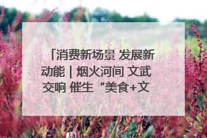 消费新场景 发展新动能｜烟火河间 文武交响 催生“美食+文化”消费新场景