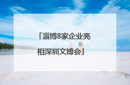 淄博8家企业亮相深圳文博会