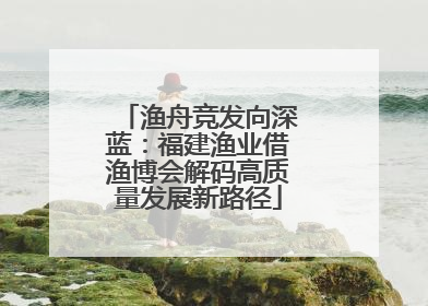 渔舟竞发向深蓝：福建渔业借渔博会解码高质量发展新路径